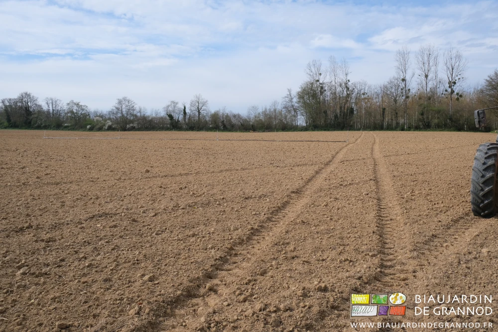 photo de la parcelle avec les traces de roues indiquant la longueur des planches à monter