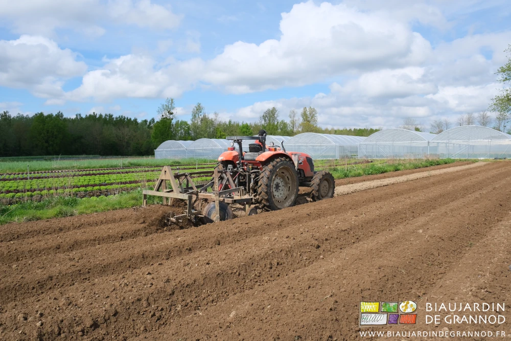photo de la préparation au cultibutte d'un carré de planches permanentes en plein champ