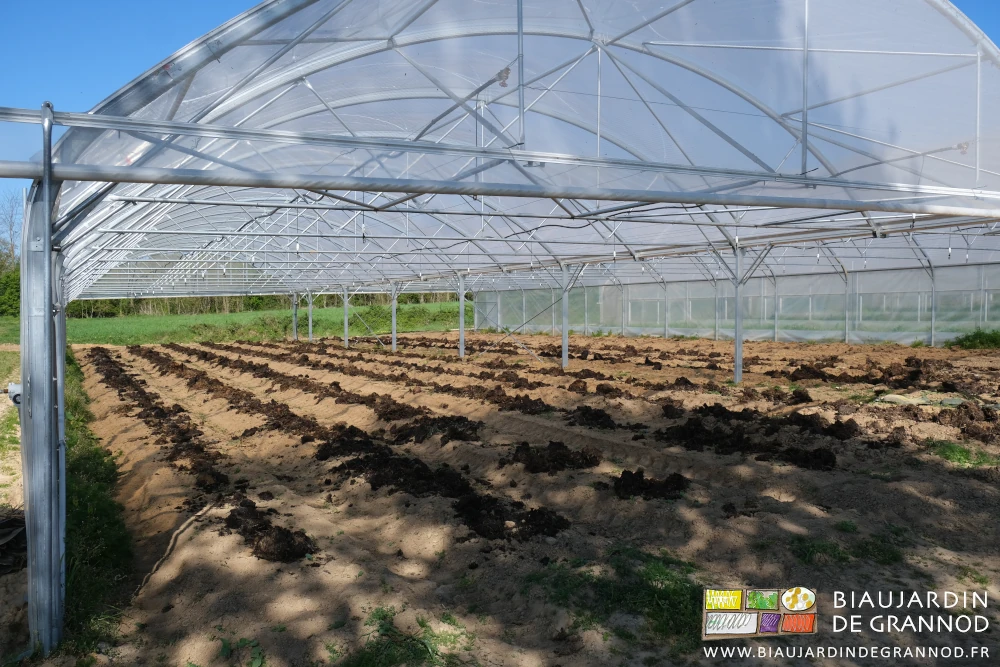 photo de fumier de bovin sur des planches sous un bi-tunnel
