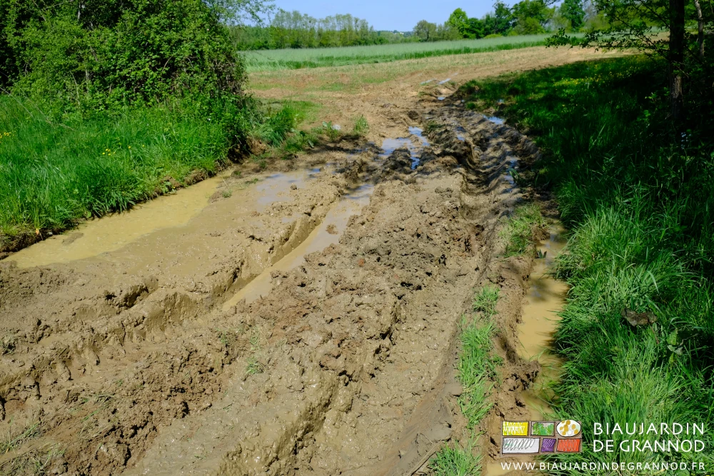 photo de 20 m2 de boue sur 30 cm à l'entrée de la parcelle