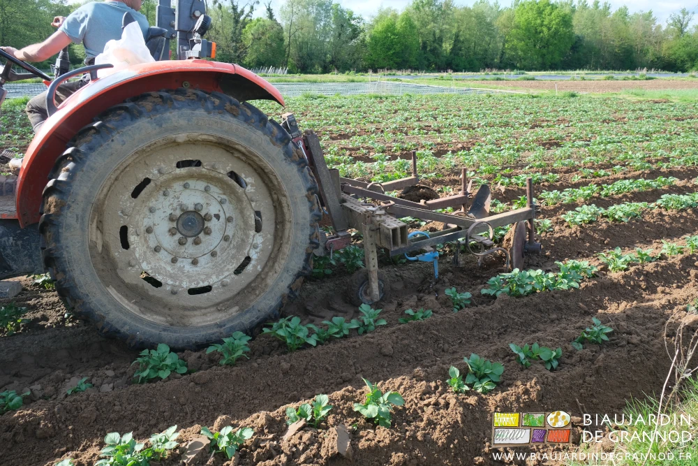 photo depuis l'avant de l'outil des dents de binage au travail dans le bord de planche