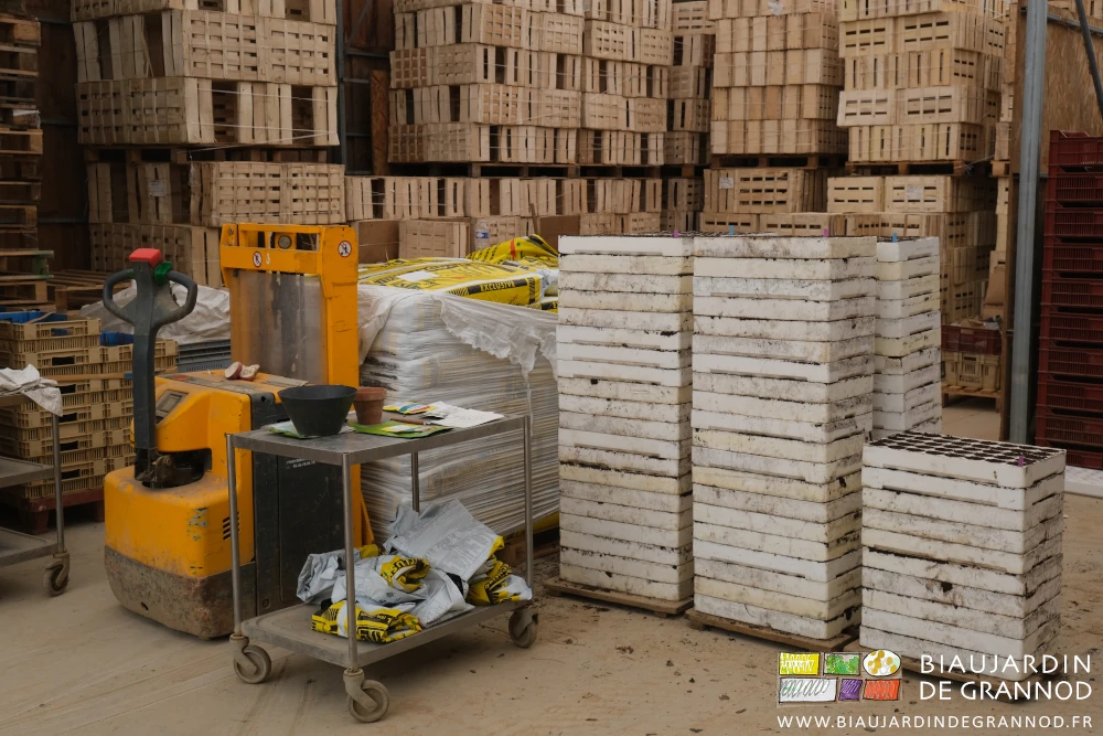 photo du gerbeur levant les sacs de terreau et les plaques semées emilées