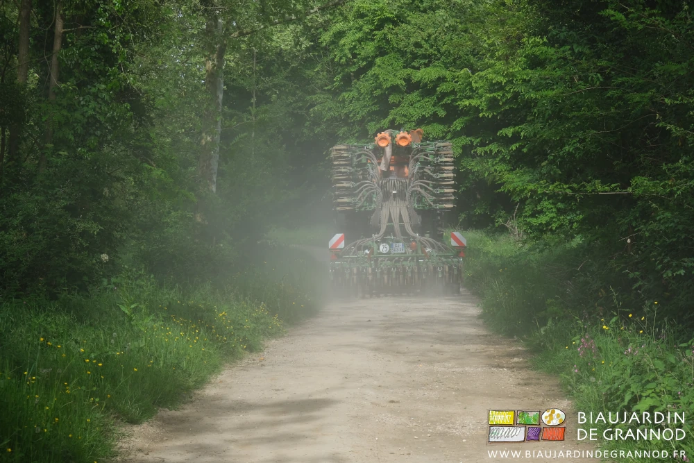 photo dans notre chemin