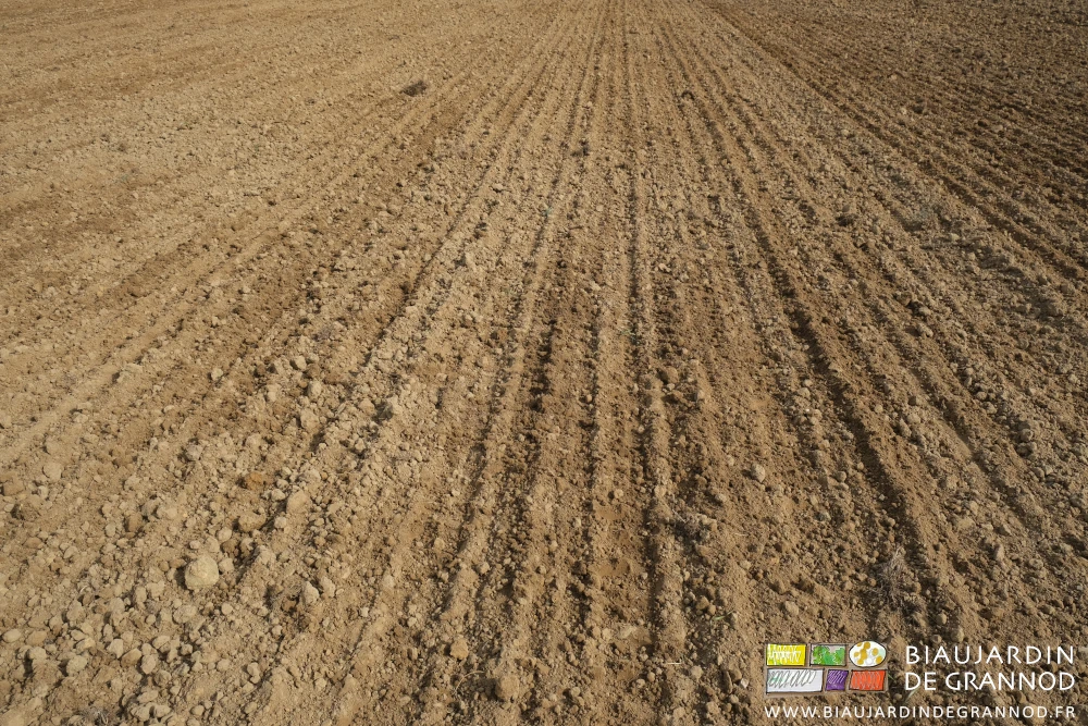 photo de l'état de surface rappuyé et assez légèrement motteux pour rester aéré