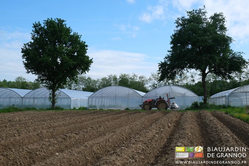 photo de voiles sur palette transportée avec le tracteur