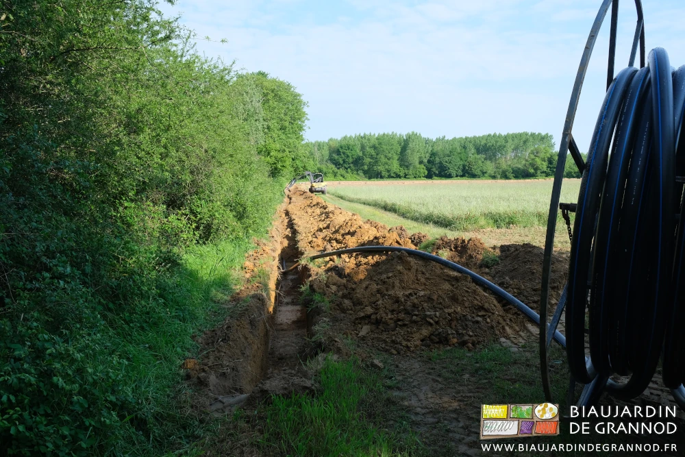 photo du chantier de rebouchage le long de la haie sous ciel bleu