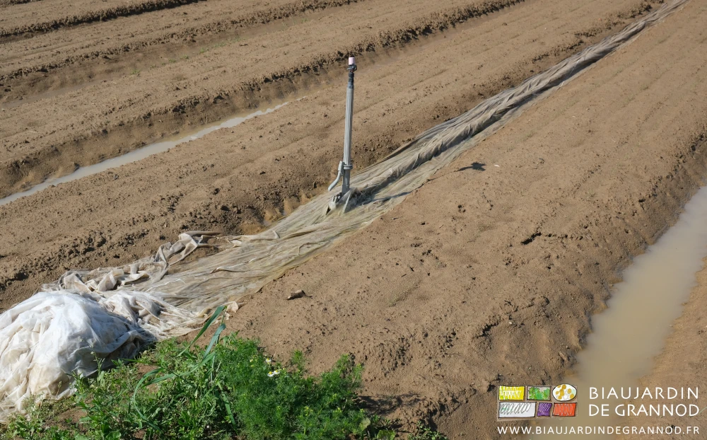 photo des voiles thermiques roulés dans l'allées gorgée d'eau