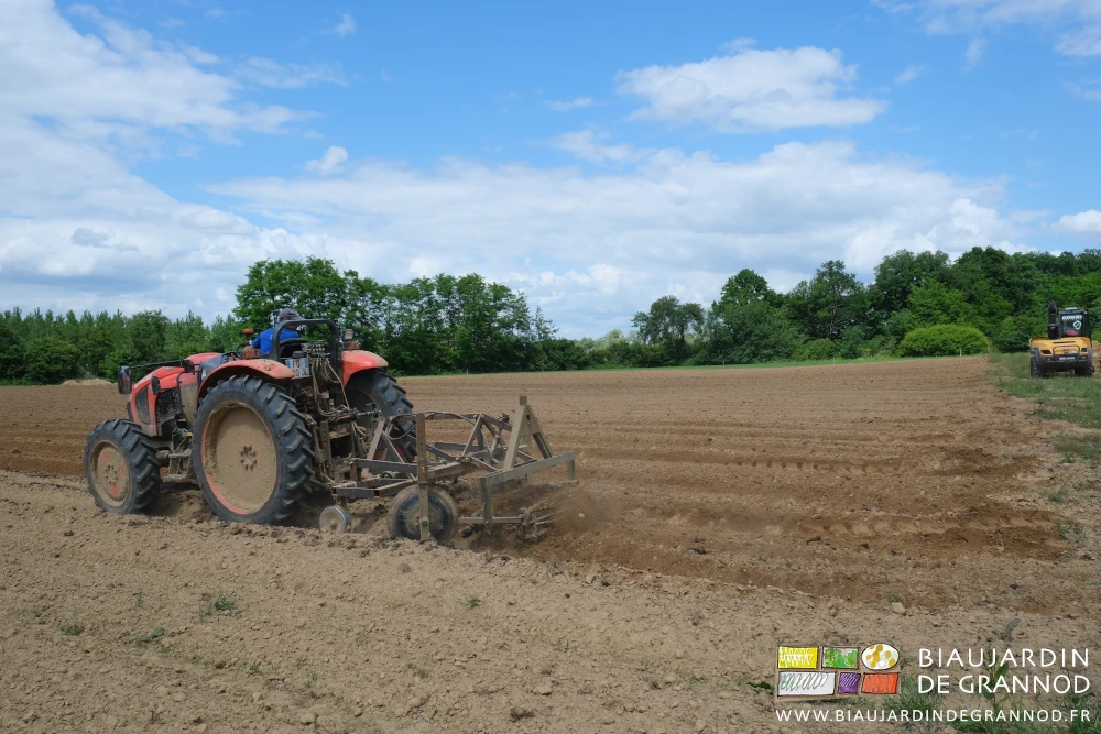 photo de tracteur et cultibutte ameublissant les planches permanentes d'une parcelle