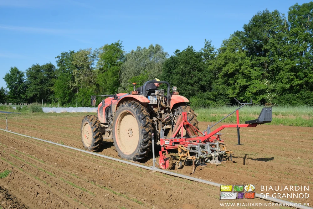 photo de Matthieu guidant le bineuse Duo depuis l'hydraulique du tracteur