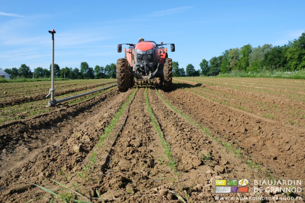 vue du sol face au tracteur