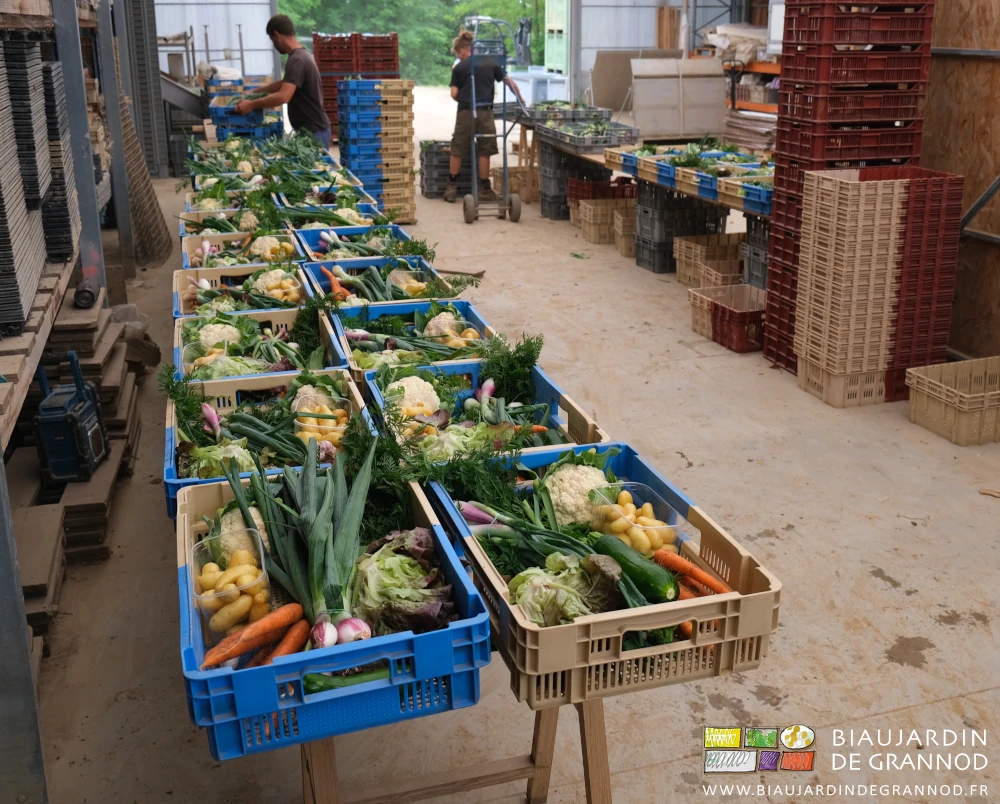 photo des rangées de paniers en cours de confection