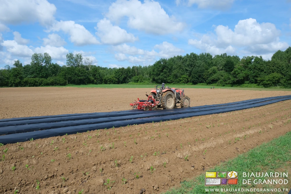 photo de la pose du film avec la dérouleuse incorporation directe