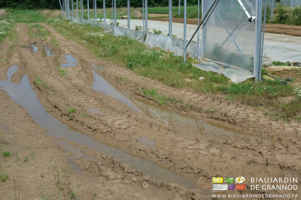 photo d'ornières à coté d'un bi-tunnel