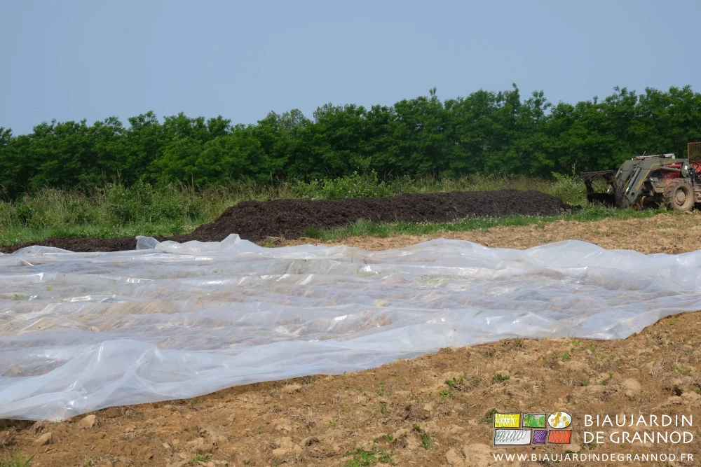 photo de la bâche de protection étalée à coté de l'andain de fumier composté