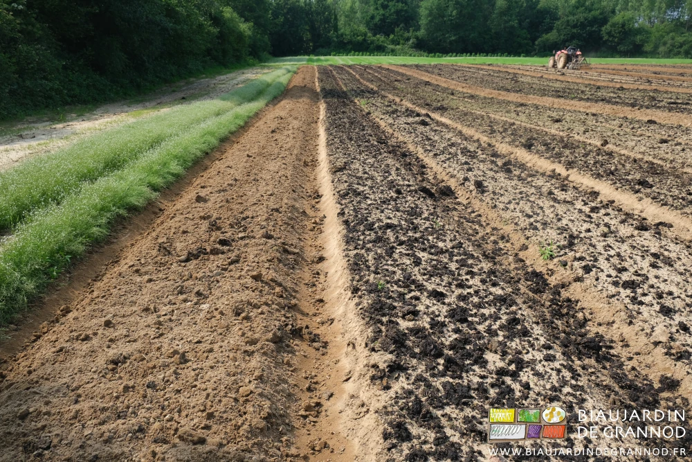 photo proche de planches couvertes de fumier et de planches à fumier incorporé