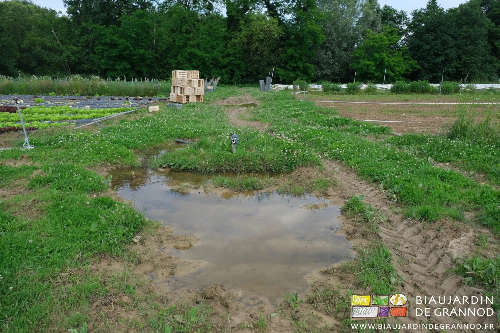 photo d'eau stagnante couvrant en partie une allée de circulation