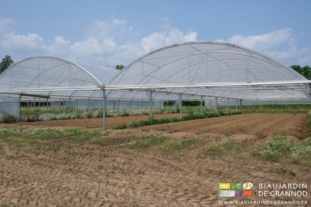 photo d'un bi-tunnel aux 12 planches retravaillées au cultibutte