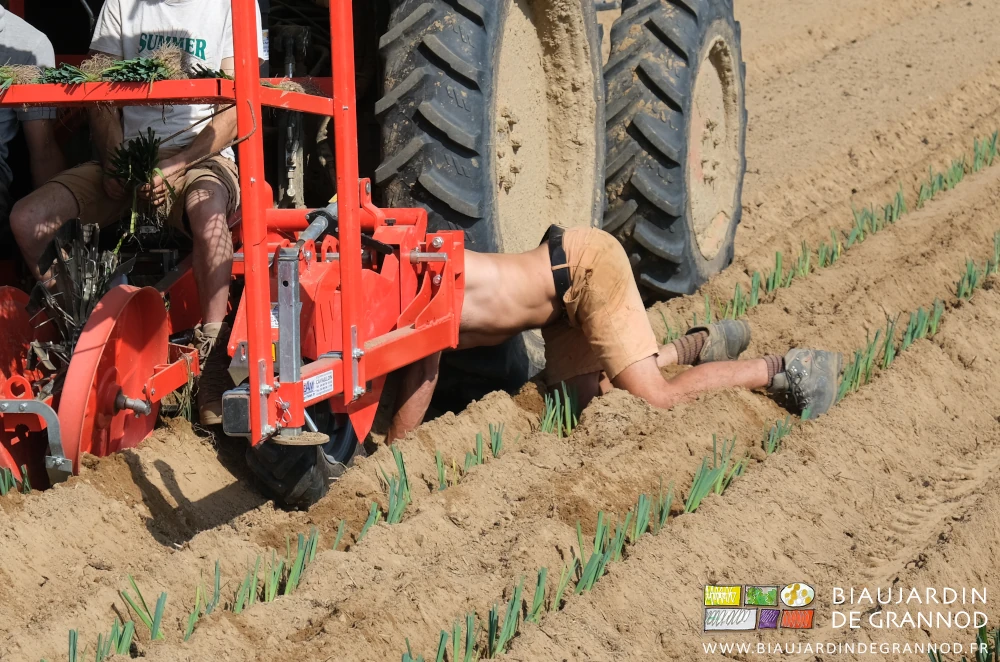 photo de Matthieu à 4 pattes sous la planteuse pour modifier le réglage d'une pièce