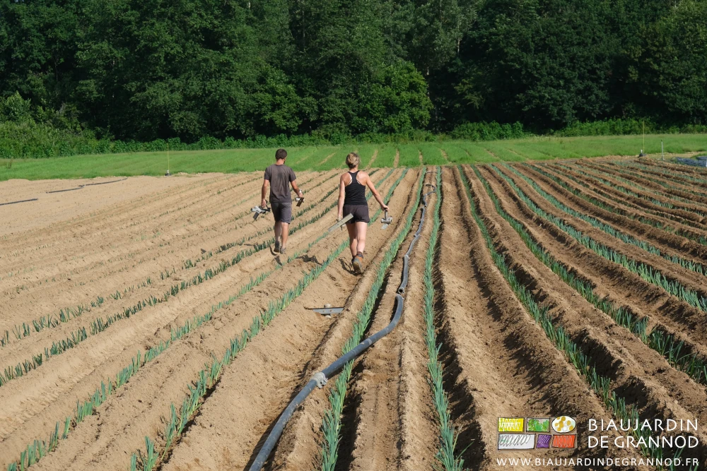 photo de Alice et Thimothée qui distribuent les raccords et départs d'eau tous les12 m