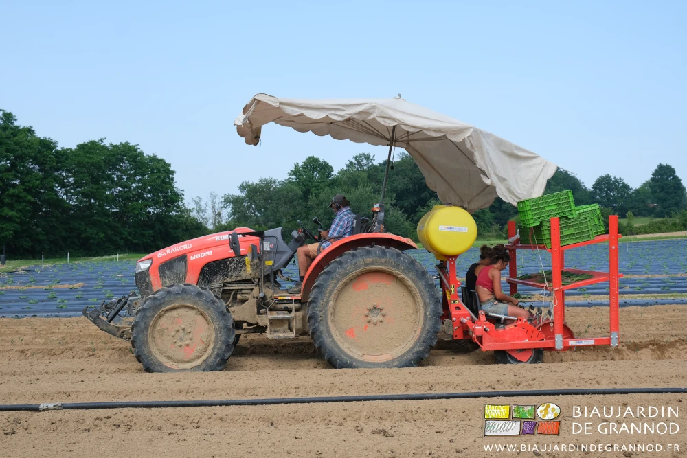 photo de Matthieu au tracteur 2 Biaux jardinières sur la planteuse