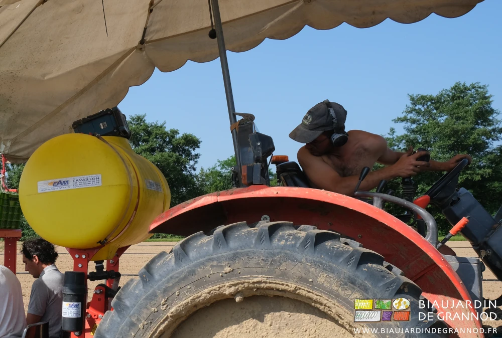 photo de Matthieu au volant du tracteur en position de torsion pour contrôler le déroulé du repiquage