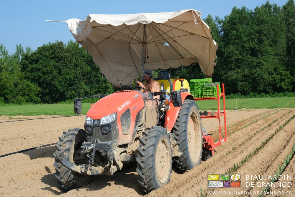 photo vue de devant de tracteur et planteuse surmontée d'un parasol de marché