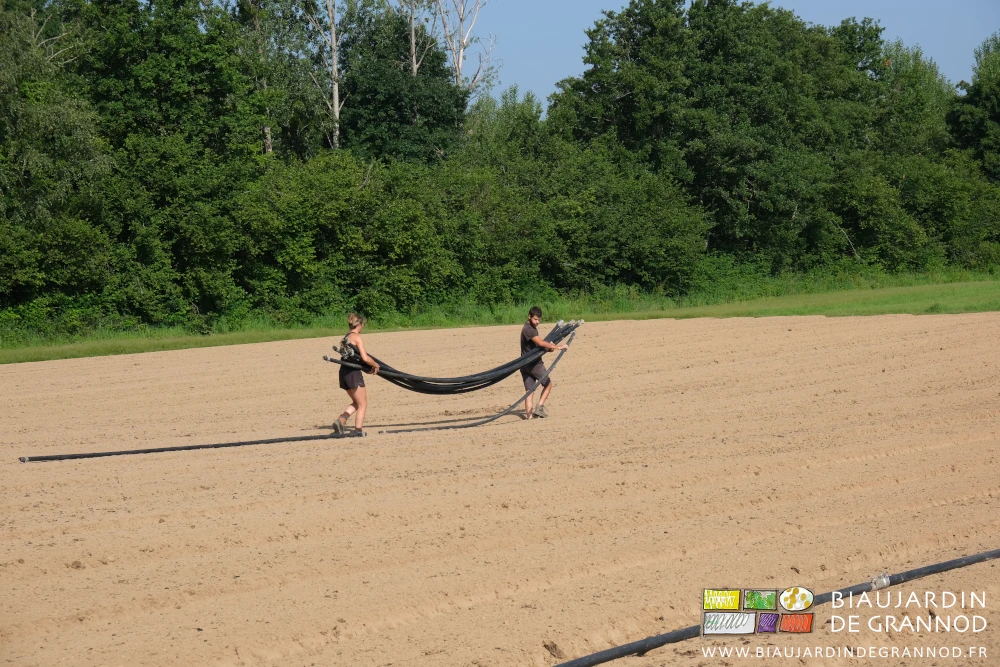 photo du transport manuel des séries de tubes à leur place entre les planches