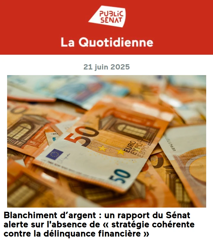 copie d'écran public sénat un rapport pointe l'absence de stratégie contre le blanchiment d'argent