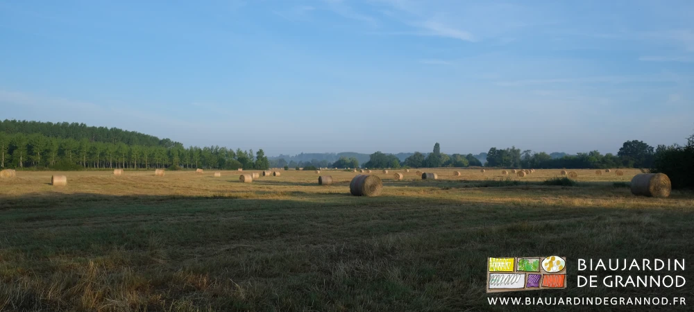 photo d'ensemble de la prairie inondable de Seille et ses bottes rondes de foin