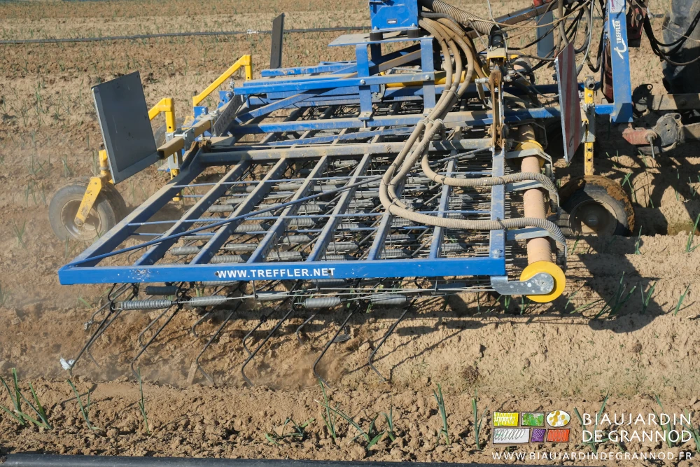 photo de l'étrille et ses multiples dents souples montées sur ressort de tension réglable