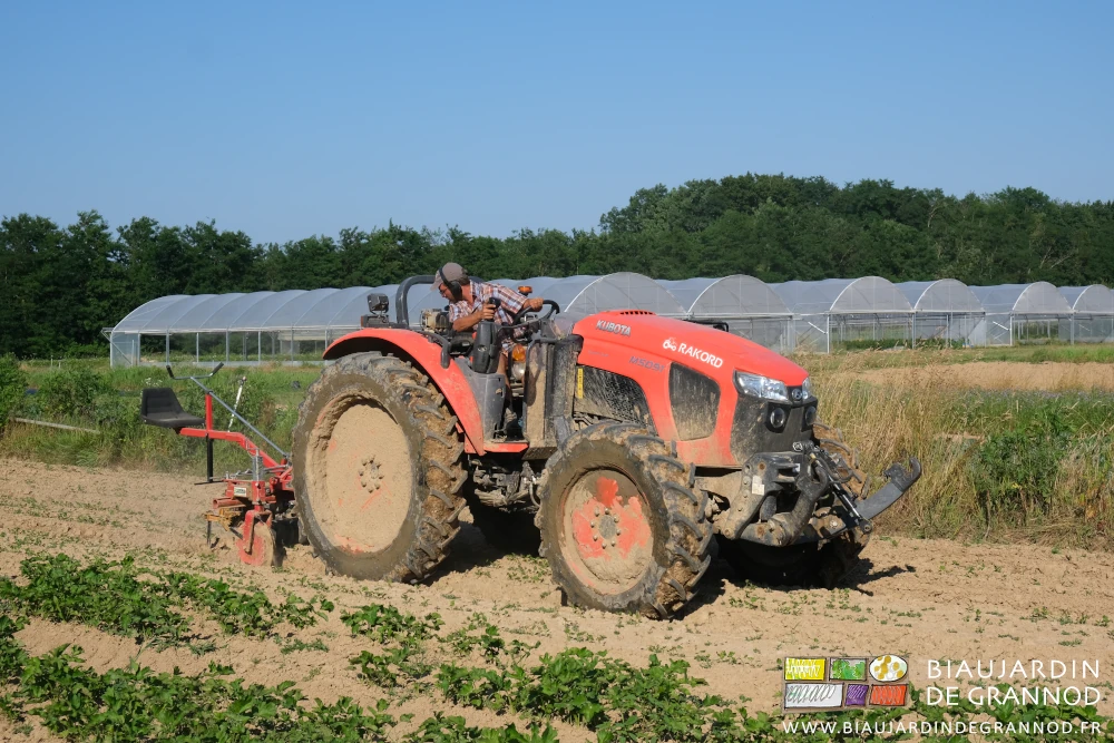 photo de Matthieu en torsion au volant pour suivre le travail de la bineuse derrière