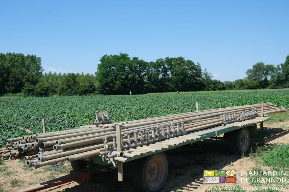 photo du plateau avec les matériels au bout de la parcelle de courge