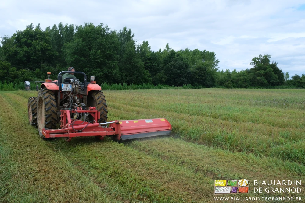 photo du broyeur déporté en action dans un carré en engrais vert