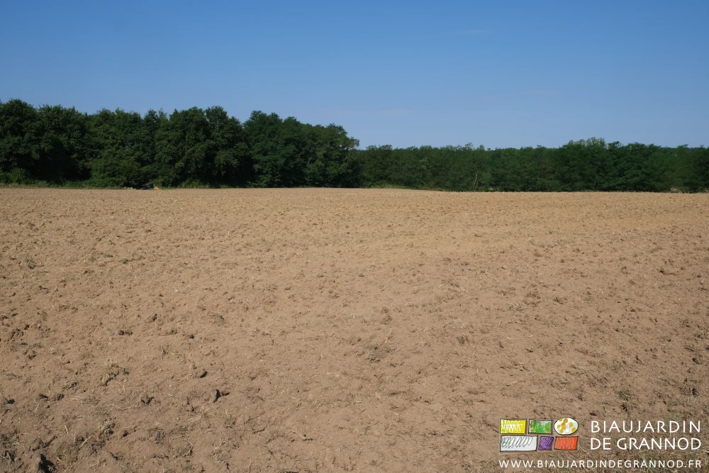 photo d'ensemble de la parcelle entièrement déchaumée