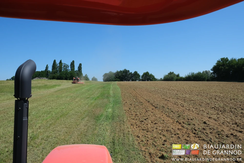 photo d'une partie de la parcelle depuis le tracteur qui déchaume de celui qui broie