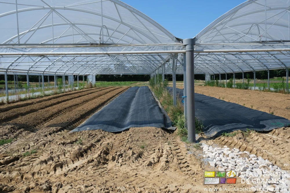 photo d'un bi-tunnel dont 4 des 12 planches sont couvertes pour occultation