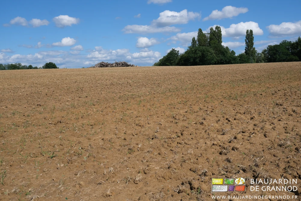 photo d'ensemble sous ciel redevenu bleu de la parcelle en cours de déchaumage