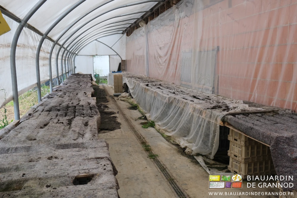 photo des tablettes sans aucun plant en attente de repiquage dans notre serre solaire
