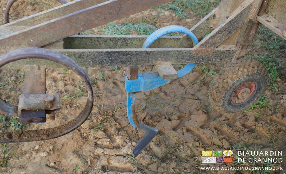 photo proche de la dent bleue à soc large