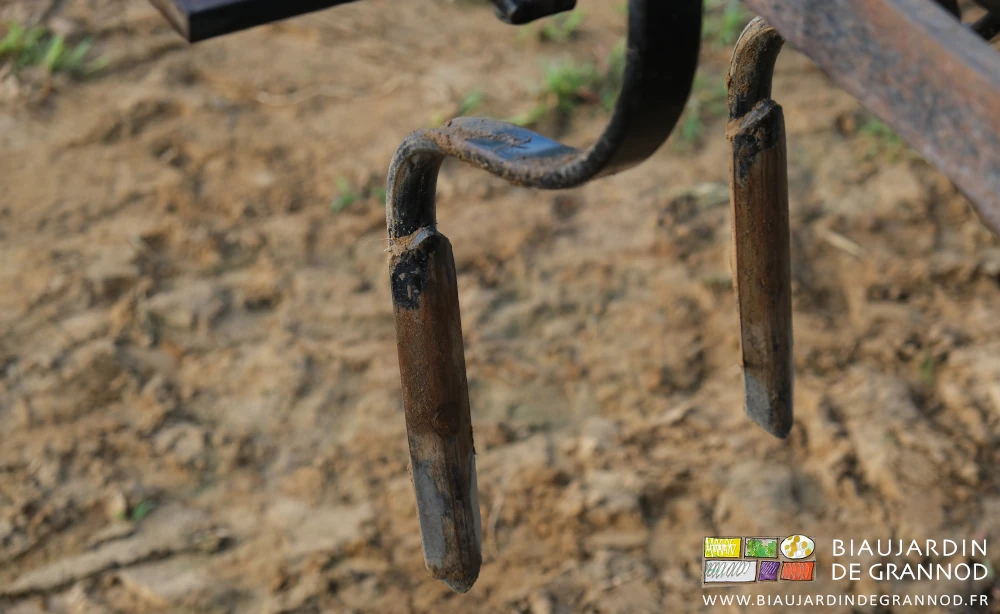 photo proche des doigts droits montés sur dent droite