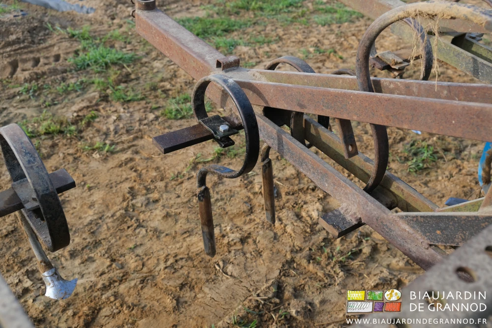 photo des 2 dents droites sur l'élément