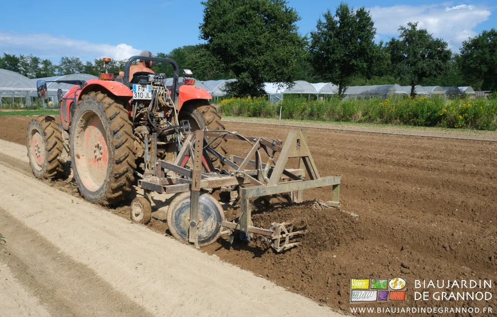 photo proche d'une planche bien structurée et affinée par le travail du cultibutte.