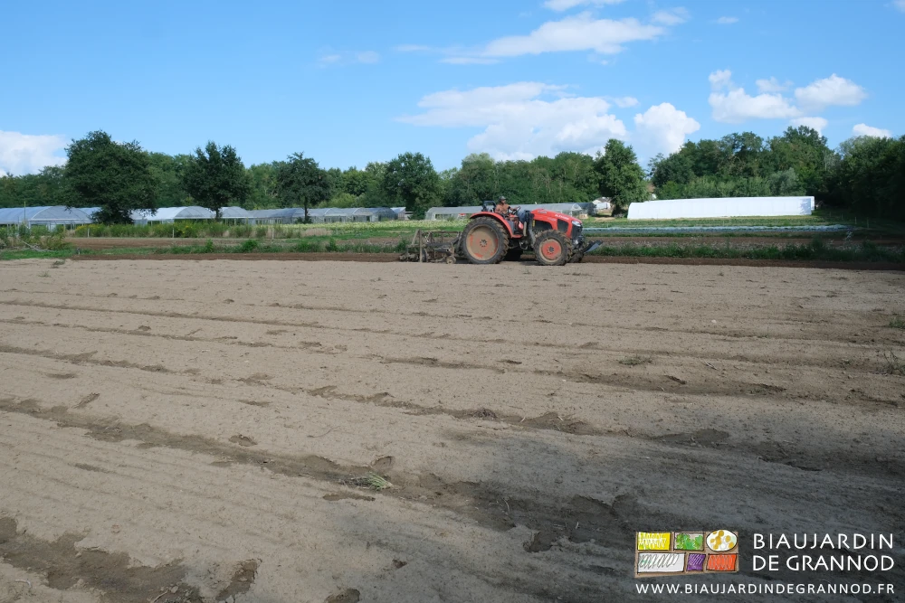photo de reprise au cultibutte après récolte