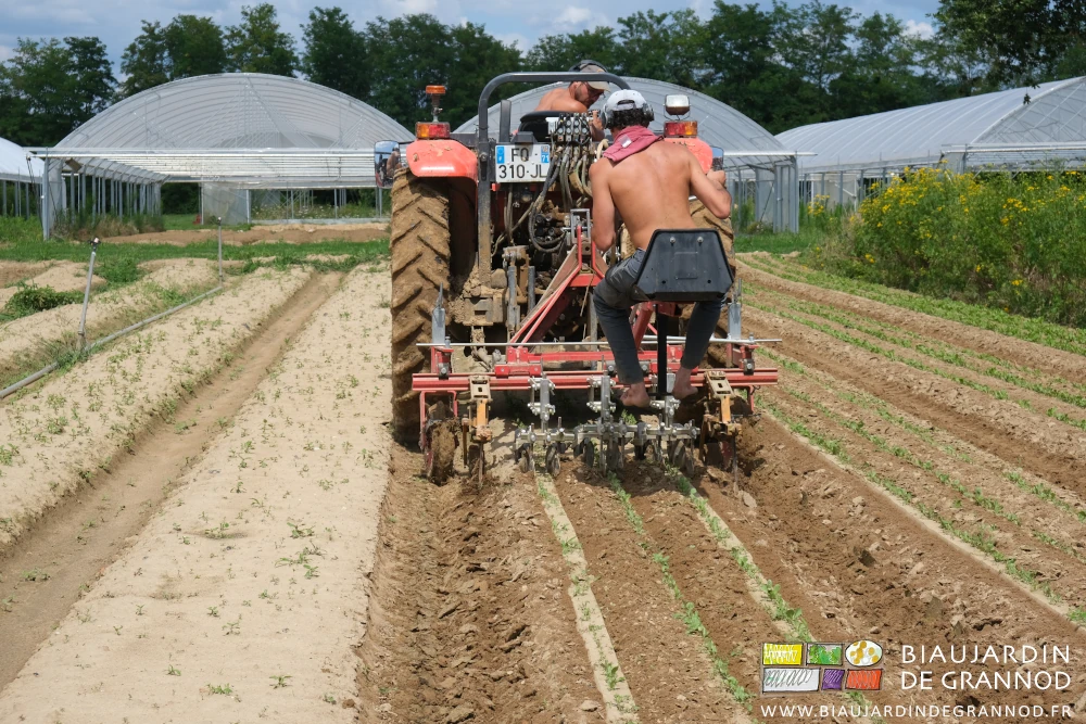 photo de Vivien guidant la bineuse Duo depuis son siège