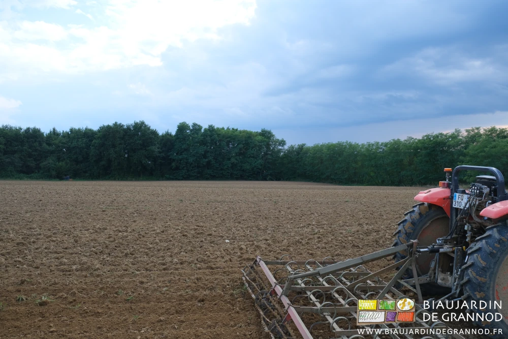 photo de la parcelle quasi entièrement reprise et ciel noir