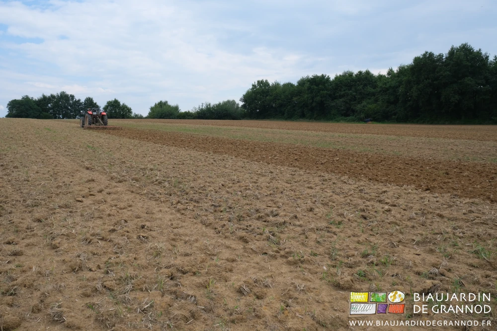 photo du tracteur en cours de travail dans la parcelle, entourée de belles haies bocagères