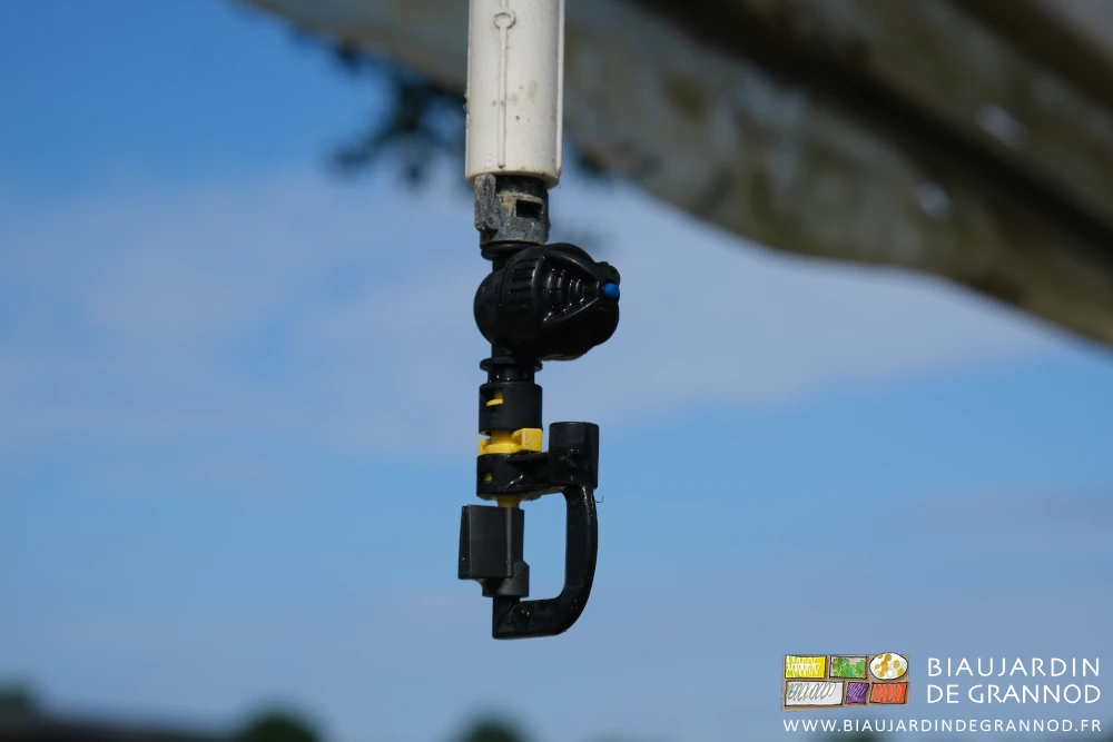 photo d'un asperseur tout propre revissé au tube pendillard