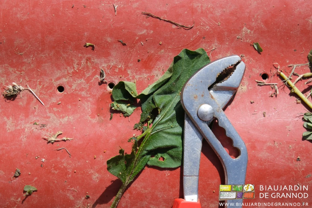 photo d'une pince métal posée dans'une cagette à fond plein