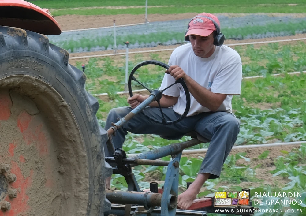 photo de Vivien conduisant la bineuse avec les doigts Kress