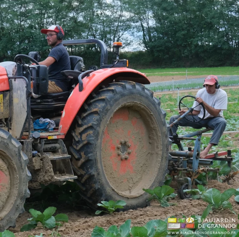 photo de Matthieu concentré à la direction du tracteur et Vivien idem sur la bineuse